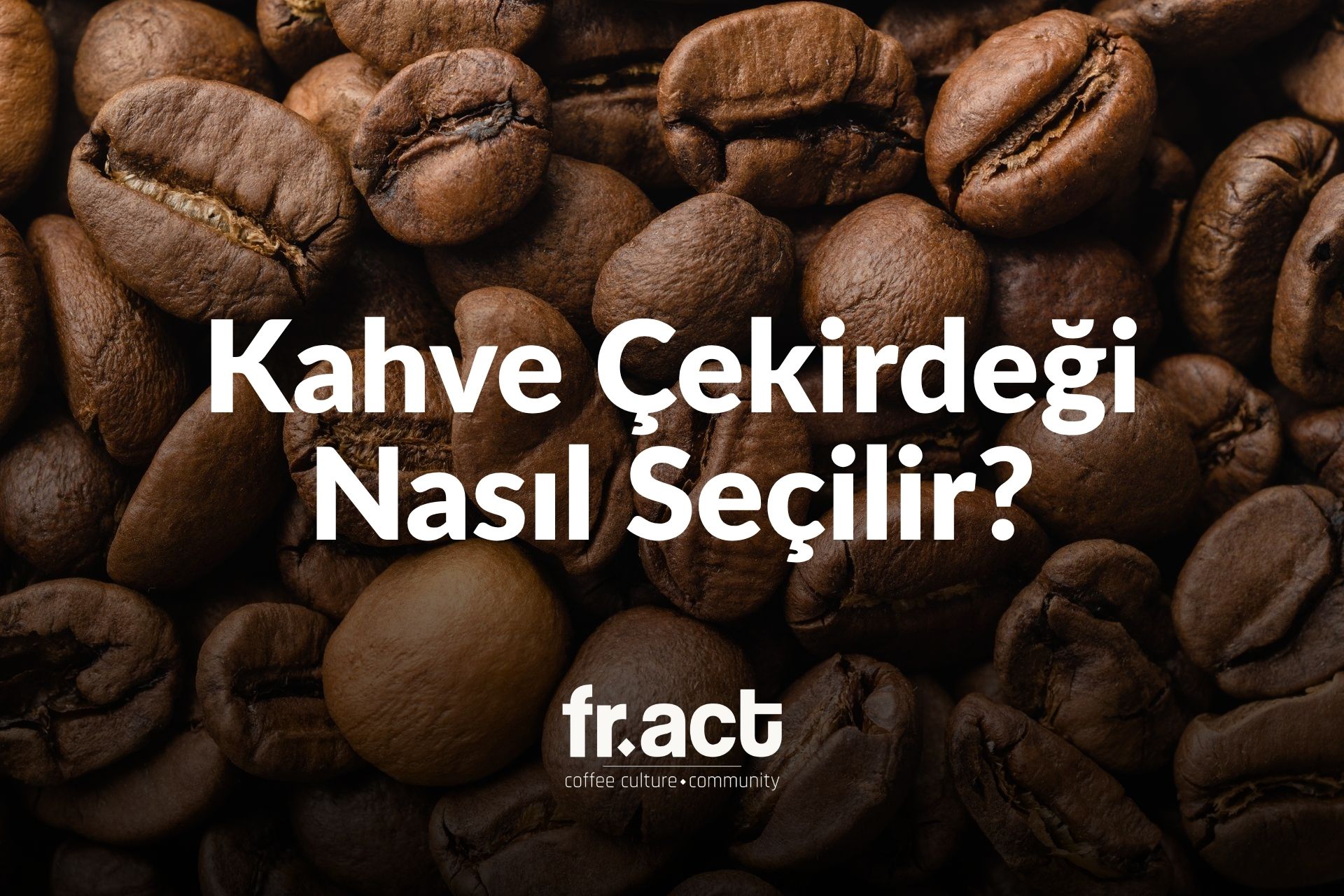 Kahve Çekirdeği Nasıl Seçilir? Damak Zevkinize Uygun Kahveyi Bulma Rehberi